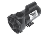 Waterway Viper 56 Frame 2-Speed 3HP 230V | 3721221-1T