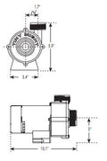 Waterway Tiny Might 1-16HP 115V 1" Barbed | 3312610-19