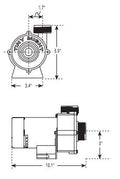 Waterway Tiny Might 1-16HP 230V 1" Barbed Fittings | 3312620-19