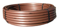 Rain Bird 12" Space 100' Coil, 0.6 GPH - XFS-CV Dripline
