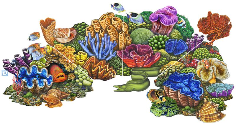 Custom Mosaics Aqua Decal Coral Reef 53inches x 25inches Concrete Decal | LX-GROUP-1 B