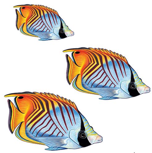 Custom Mosaics Aqua Decal Graphics Threadfin Butterflyfish Group Concrete | LX-GROU | LX-GROUP-8 B