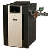 Raypak Professional Series Natural Gas Commercial Pool & Spa Heater | 13731