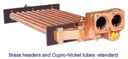 Raypak Professional Series Natural Gas Commercial Pool & Spa Heater 399K BTU | Cupro Nickel Heat Exchanger | Electronic Ignition | 013731
