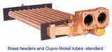 Raypak Professional Series Natural Gas Commercial Pool & Spa Heater | 13731