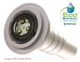 Pentair GLOBRITE Shallow Water Color LED Light 12V | 602053