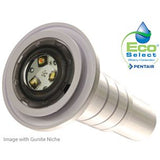 Pentair GLOBRITE Shallow Water Color LED Light 12V | 602053