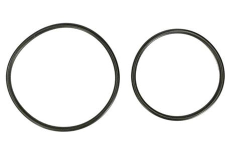 Hayward O-Ring Kit | 2-Set | DEX2420Z8A