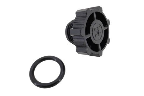 Hayward Drain Plug Kit 1/2" with O-Ring | CX250Z14A