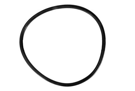 Hayward O-Ring for Filter Head | CX800F