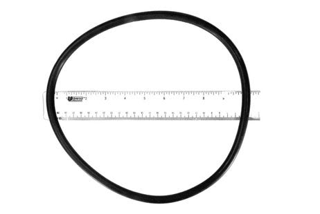 Hayward O-Ring for Filter Head | CX800F