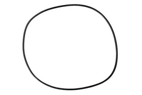 Hayward Body O-Ring | CCX1000G