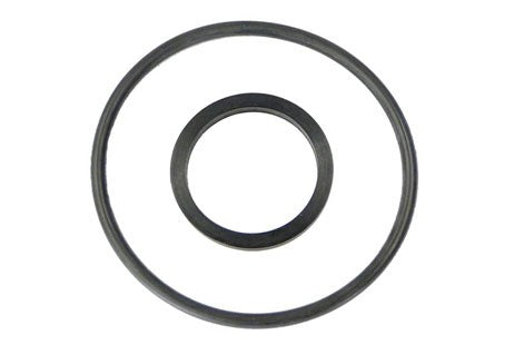 Hayward O-Ring Set of 2 | CCX1000Z5