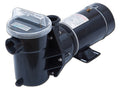 Doughboy Embassy PowerLine XP 1 HP pump and motor, 115V, part 5-3196-003
