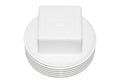 Hayward 1.5" MPT Pipe Plug | SPX1051Z1