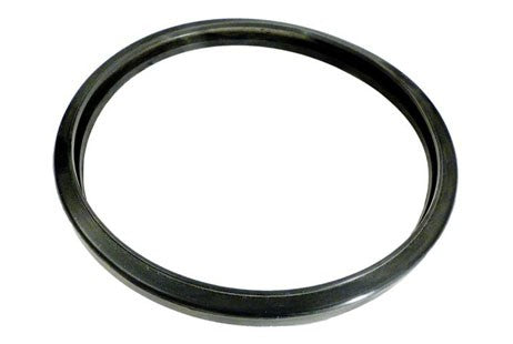 Hayward Lens Gasket Special Hi-Temp | SPX0503W