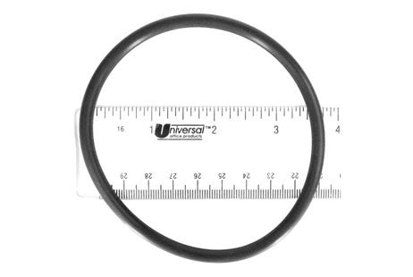 Hayward Lid O-Ring | CLX110K
