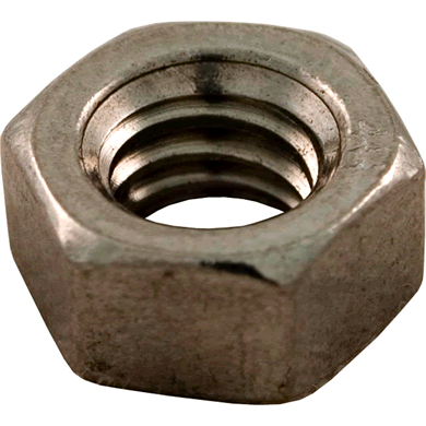 Pentair Genuine OEM Nut 5/16"-16 SS (4 Required) | 192013