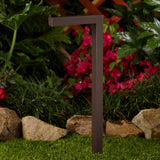 VistaPro 20" Black Aluminum Path Light with LB2ND LED Module 2.5W