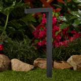 VistaPro 20" Graphite Metallic Aluminum Path Light with LB2ND LED Module 2.5W