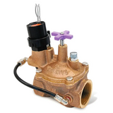 Rain Bird 200EFBCP - 2 in. Brass Irrigation Valve