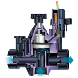 Rain Bird 200PGA, 2" Inlet Inline Plastic Residential and Commercial Irrigation Valve