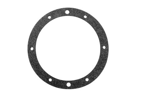 Pentair Small Niche Single Gasket | 79204600