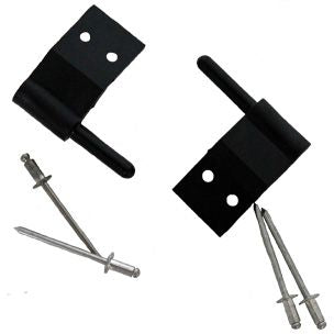 Pentair FACEPLATE HINGE PINS 2/SET LX | LXPIN