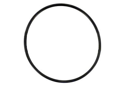 Horizon Suction Flang O-Ring | 47035746R
