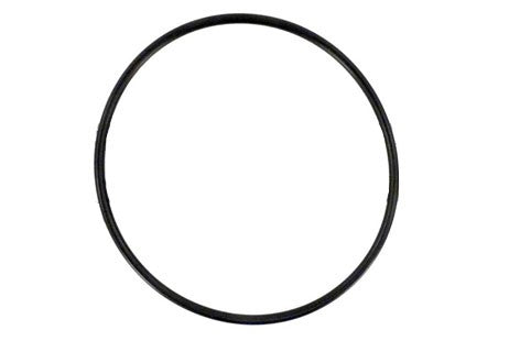 Horizon Suction Flang O-Ring | 47035746R
