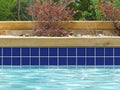 NPT 21sqft-Cs Cobalt Blue 3x3 1.05sqft | DSF50
