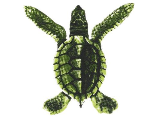 PORC-ST20A BABY TURTLE - A 5"x5"