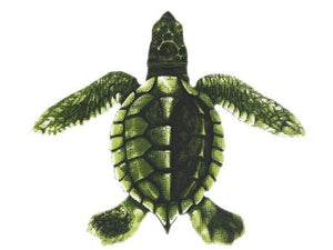Custom Mosaics BABY TURTLE - C 5"x5" | PORC-ST22C