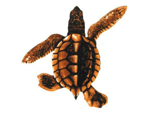 Custom Mosaics Baby Turtle B - Brown 5"X5" | PORC-ST21B-BR