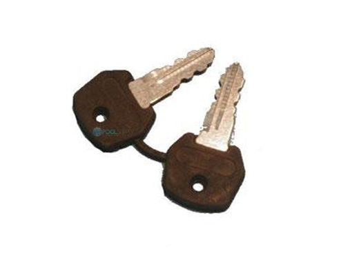 COVERSTAR E0029 KEY COVERSTAR STANDARD