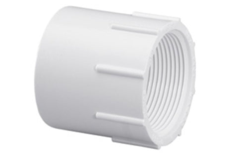 LASCO 25/BX 2" Female Adapter 435-020