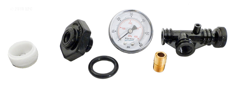 Sta-Rite 24850-0105 valve and gauge assembly