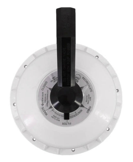 Pentair 272422 valve top assembly, side view