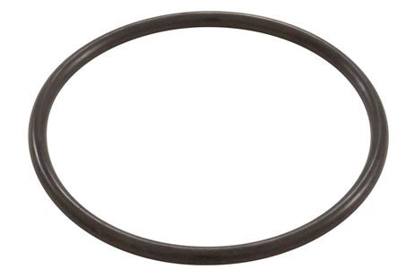 Pentair Triton C & C-3 Flange Adapter O-Ring | 154004