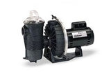 Pentair Challenger Pump .5HP FR HH 115/230V | 345202