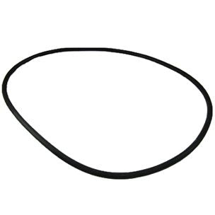 Pentair OEM Tank O-Ring | FNS Plus and Clean & Clear Plus Filters | 39010200 39010200Z