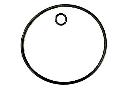 Zodiac 380/280/180 Back-Up Valve O-Ring Kit | G58