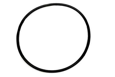 Zodiac 165-65 Chamber O-Ring | 6-412-00