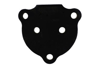 Pentair P11175 Gasket Flange 120-400 | 070944