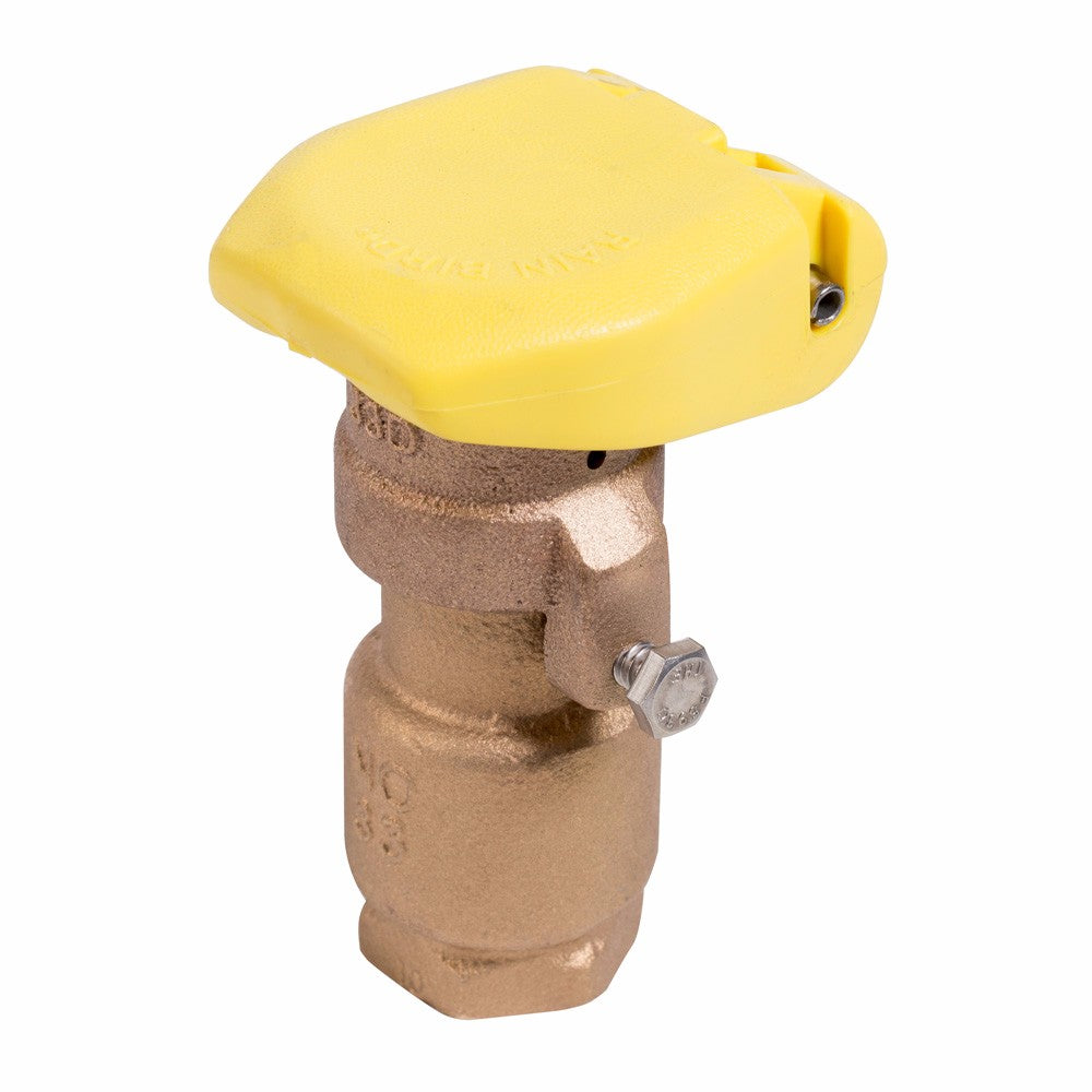 Rain Bird 33DRC 3/4" Quick Coupling Brass Valve with Rubber Cover
