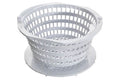Pentair Lily Pad Skimmer Basket with Restrictor | R172661