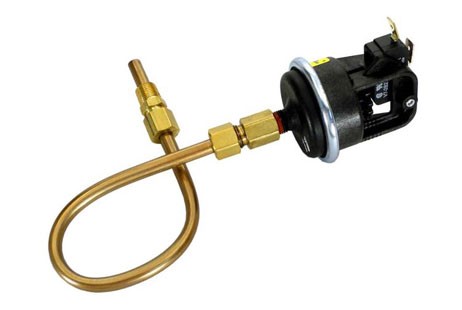 Raypak 53A/53B Pressure Switch Spa Pak | 003651F