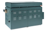 Raypak Raytherm Outdoor Pool Heater Natural Gas 926K 00 | 1374
