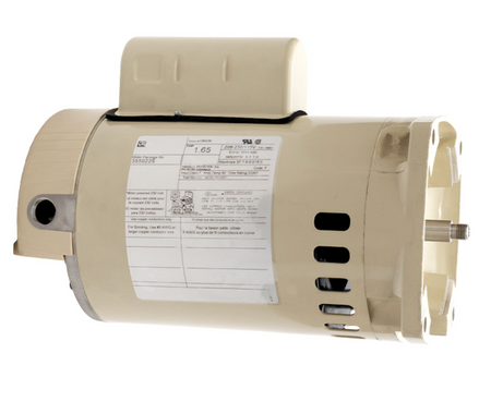 Pentair 355022S motor, flange end view