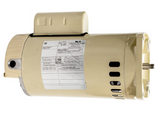 Pentair 355024S 1.5 HP square flange pump motor, angled view